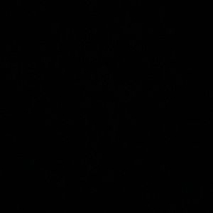 Meet your Posher, Najah